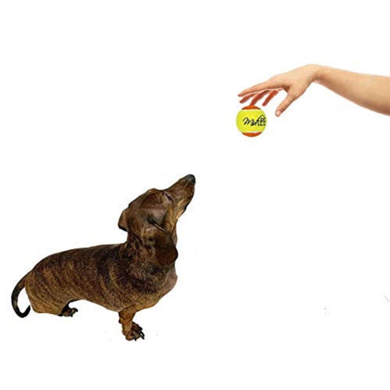 Midlee 2" Yellow/Orange Small Dog Tennis Balls (12-Pack) - Image 4